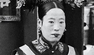 深宫曲侍寝点数满了